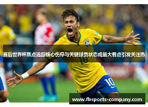 赛后世界杯焦点追踪核心伤停与关键球员状态成最大看点引发关注热